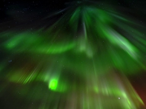 Northern Lights Prints: Iceland. Northern Lights over Isafjordur, the capital of the Westfjords during autumn