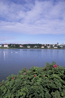 Images Dated 16th April 2004: Iceland, Reykjavik Homes on Tjornin Lake