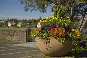 Vase Prints: Iceland, Reykjavik. A large flower-filled vase decorates a common area