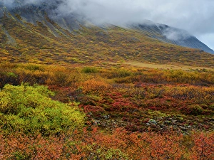 Vestfirdir Prints: Iceland. Sunndalur in Trostansfjordur during autumn