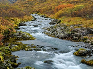 Vestfirdir Prints: Iceland. Sunndalur in Trostansfjordur during autumn