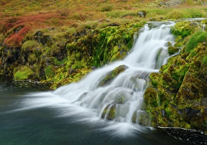 Northern Europe Prints: Iceland. Waterfall Dynjandi in Borgarfjordur during autumn