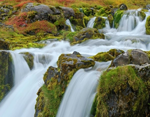 Northern Europe Prints: Iceland. Waterfall Dynjandi in Borgarfjordur during autumn