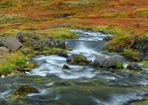 Northern Europe Prints: Iceland. Waterfall Dynjandi in Borgarfjordur during autumn