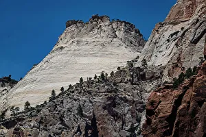 Checkerboard Mesa Prints: Iconic Checkerboard Mesa is close to the main road through Zion National Park
