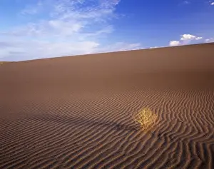 Images Dated 20th August 2009: ID, Bruneau Dunes State Park, Sand dunes with wind formed ripples