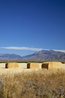 Grow Prints: ID, Butte County, Hay bales