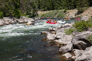 ID, near Stanley, Salmon River, Whitewater rafting