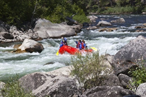 Images Dated 28th July 2011: ID, near Stanley, Salmon River, Whitewater rafting