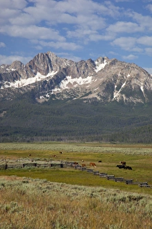 Images Dated 25th July 2011: ID, Sawtooth National Recreation Area, Stanley, Stanley Valley and Sawtooth Mountains