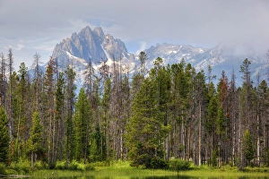 Images Dated 31st July 2011: ID, Sawtooth National Recreation Area, Little Redfish Lake, with Sawtooth Range