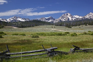 ID, Sawtooth National Recreation Area, Meadow and Sawtooth Mountains, view from Nip