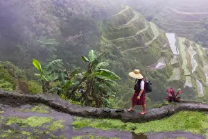 Igorot tribal woman with the Rice Terraces of the Philippine Cordilleras, UNESCO