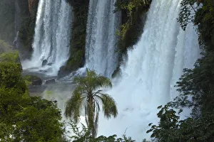 Images Dated 20th April 2017: Iguazu Falls, Argentina
