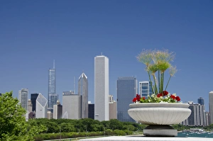 Images Dated 4th June 2012: Illinois, Chicago. Downtown skyline view with flowers