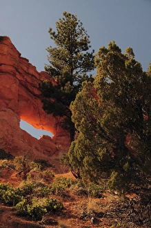 Hike Prints: Illuminated Arch in Bryce Canyon National Park, Utah, USA