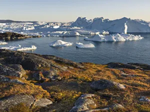 Tundra Prints: Ilulissat Icefjord, a UNESCO World Heritage Site, also called kangia or Ilulissat