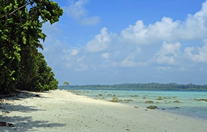 Anthony Asael Prints: India, Andaman Islands, Havelock, white sand beach number 5 at low tide
