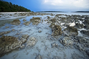 India Prints: India, Andaman Islands, Havelock, white sand beach number 5 at low tide at sunrise
