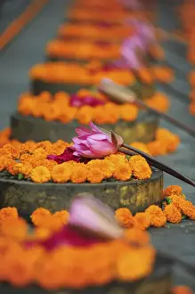 Anthony Asael Prints: India, Bihar, Bodh Gaya, UNESCO World Heritage Site, Mahabodhi Temple Complex (Great