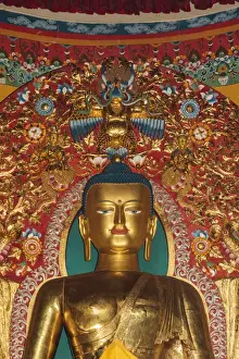 Images Dated 21st October 2011: India, Himachal Pradesh, Dhauladhar Mountain Range, Kangra District, Dharamsala, Sidhpur