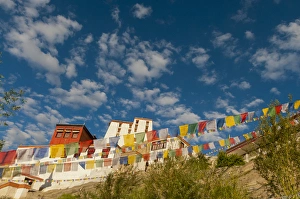 Images Dated 1st July 2012: India, Jammu & Kashmir, Ladakh, Leh, strings of prayer flags flying in front of one