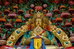 India, Jammu & Kashmir, Ladakh, Stok, large gold Buddah statue surrounded by many