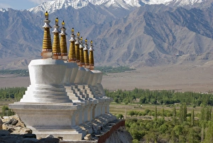 Images Dated 2nd July 2012: India, Jammu & Kashmir, Ladakh, white chortons with gold spires overlooking a valley