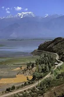 Rice Prints: India, Kashmir, Srinagar. An overview of rice harvesting in Kashmir, India with