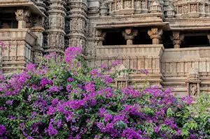 India Gallery: India, Khajuraho, Madhya Pradesh State Temple of Kandariya with bushes of bougainvillea