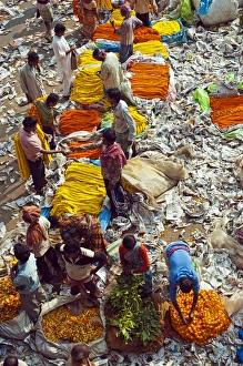Kolkata Prints: India, Kolkota, Mullik Ghat flower market, street selling
