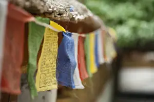 Images Dated 27th September 2011: India, Ladakh, Alchi, colorful buddhist prayer flags