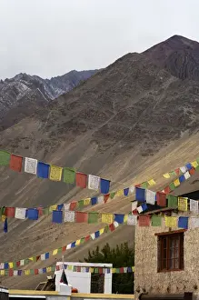 Himalaya Prints: India, Ladakh, Alchi, colorful buddhist prayer flags with Himalayas in the background