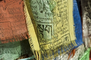 Buddhism Prints: India, Ladakh, Leh, colorful tibetan prayer flags