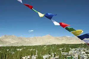 Himalaya Prints: India, Ladakh, Leh, prayer flags with Indus Valley in the background