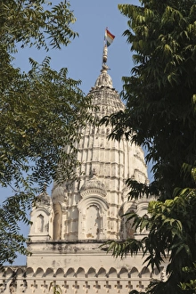 India, Madhya Pradesh, Chhatarpur District, View of Khajuraho Temple through trees