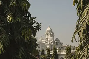 Images Dated 19th October 2011: India, Punjab, Amritsar. View of Golden Temple through Ashoka trees