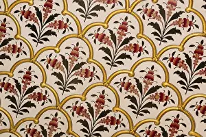 Images Dated 1st November 2011: India, Rajasthan, Bikaner. Close-up of painting in weather palace within Junagarth Fort