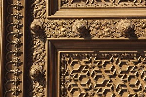 Images Dated 5th November 2011: India, Rajasthan, Jaipur, City Palace, Detail of carved wooden door