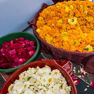 Marigold Prints: India, Rajasthan, Pipar. No Water No Life expedition, vendor making necklaces of marigolds