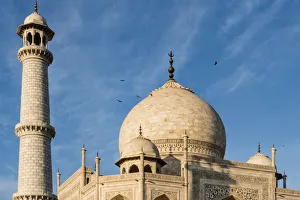 Images Dated 7th February 2017: India, Uttar Pradesh. Agra. No Water No Life expedition, Taj Mahal tomb dome and minaret