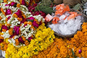 Uttar Pradesh Prints: India, Uttar Pradesh, Varanasi. varieties of marigold flowers, plumeria and lotus blossoms