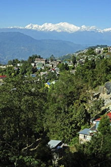 Himalaya Prints: India, West Bengal, Darjeeling