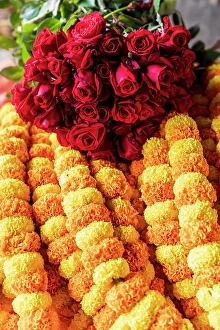 Kolkata Prints: India, West Bengal, Kolkata. Marigolds strung into ropes for necklaces an offerings