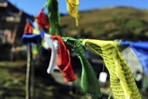 Images Dated 15th November 2013: India, West Bengal, Singalila National Park, Tonglu, buddhist prayer flags at entrance