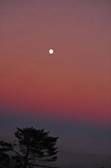 India, West Bengal, Singalila National Park, Sandakfu, moonrise at pink sunset