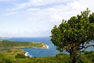 Images Dated 16th November 2008: Indian Creek Point, Antigua, West Indies