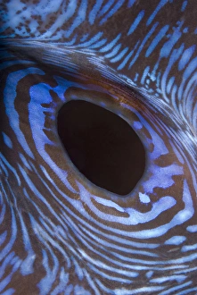 Indian Ocean, Indonesia, Komodo National Park
