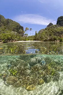 Indian Ocean, Indonesia, Raja Ampat, Misool Island. Split view above and below water of island
