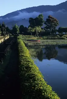 Thatched Prints: Indonesia, Bali, Candikuning. Gardens of Hindu temple Pura Ulu Danau on Lake Bratan